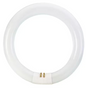 22W T-9 Fluorescent (FC8T9/CW) (for KFM/LC/IFM)